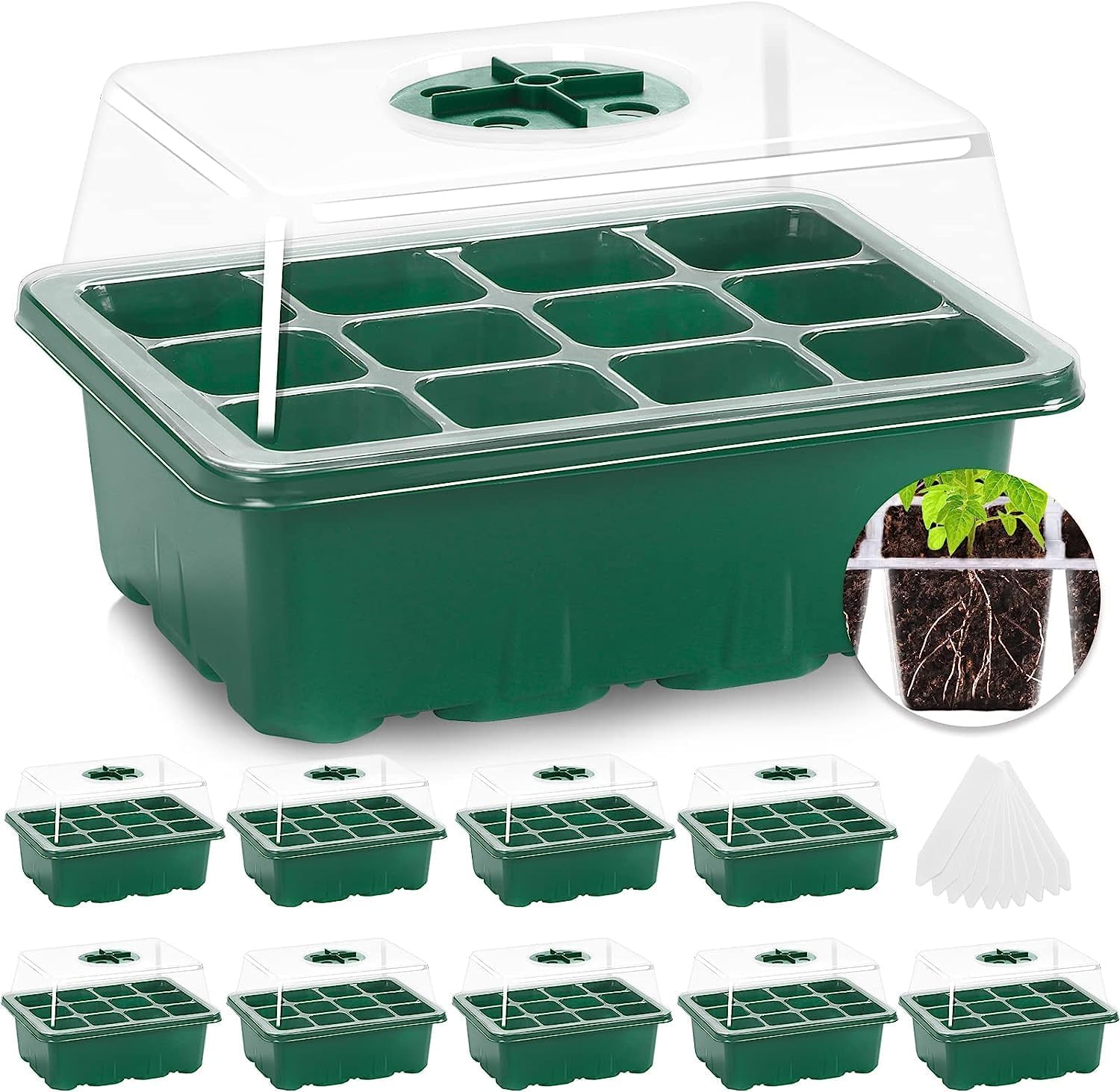 Grid Seedling Starter Box – Ventilated Germination Tray for Indoor & Outdoor Planting