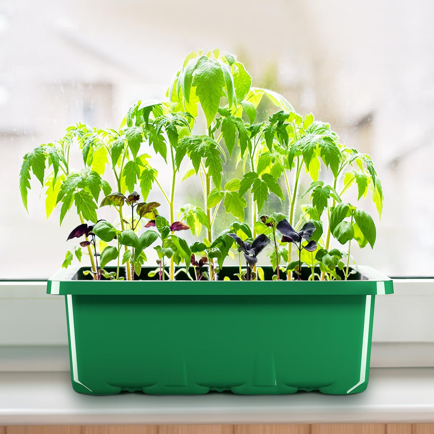 Grid Seedling Starter Box – Ventilated Germination Tray for Indoor & Outdoor Planting