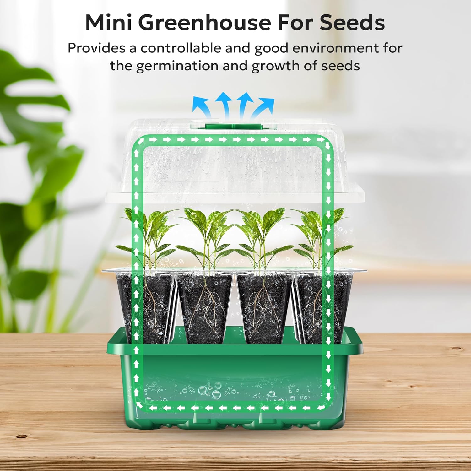 Grid Seedling Starter Box – Ventilated Germination Tray for Indoor & Outdoor Planting