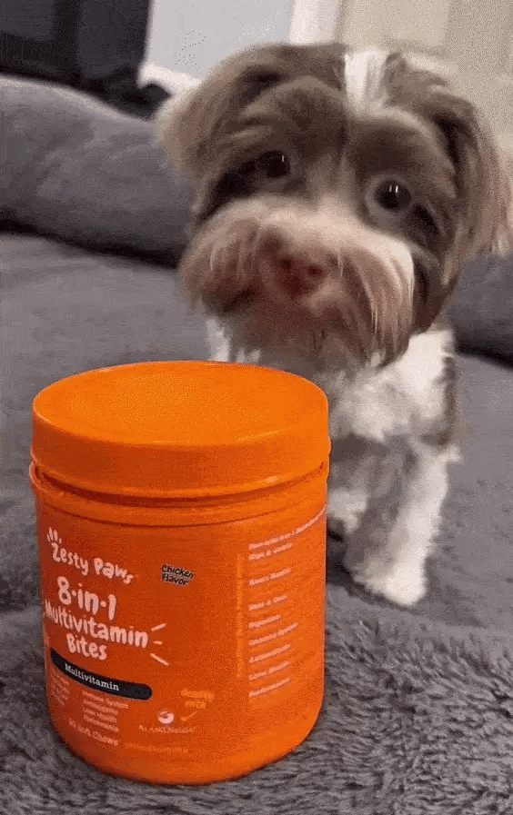 Suplemento Multivitaminas para Perros (8 Beneficios en 1)